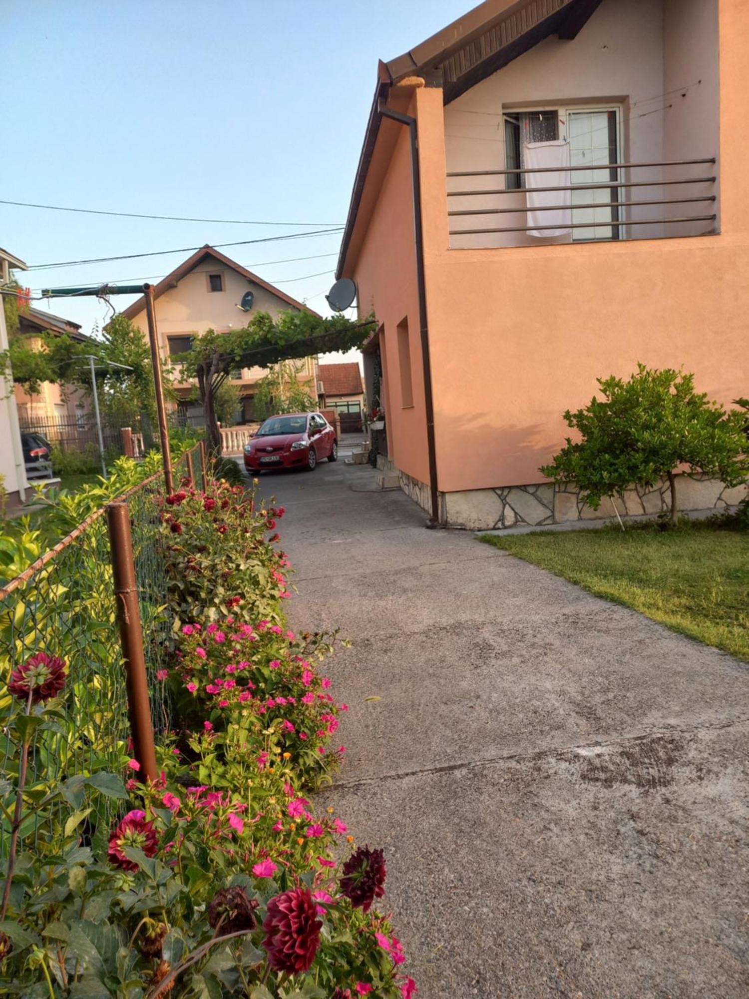 Traveler'S Rest - Near Podgorica Airport Vandrarhem Mitrovici  Rum bild